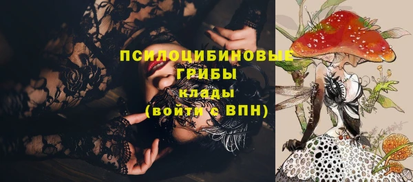 твердый Алзамай