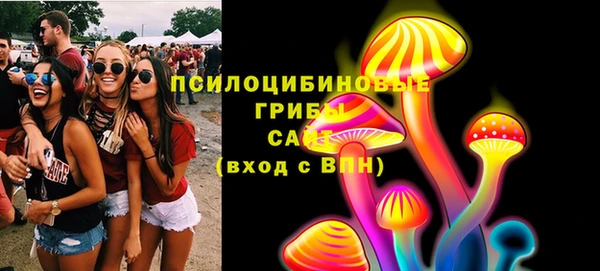 твердый Алзамай