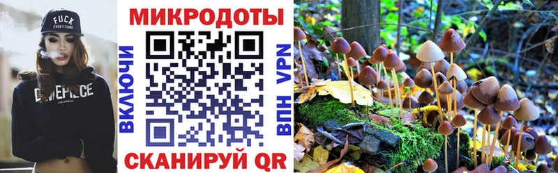 Галлюциногенные грибы мицелий  Нефтекамск 